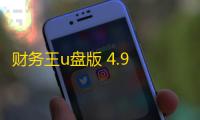 财务王u盘版 4.9 官方版